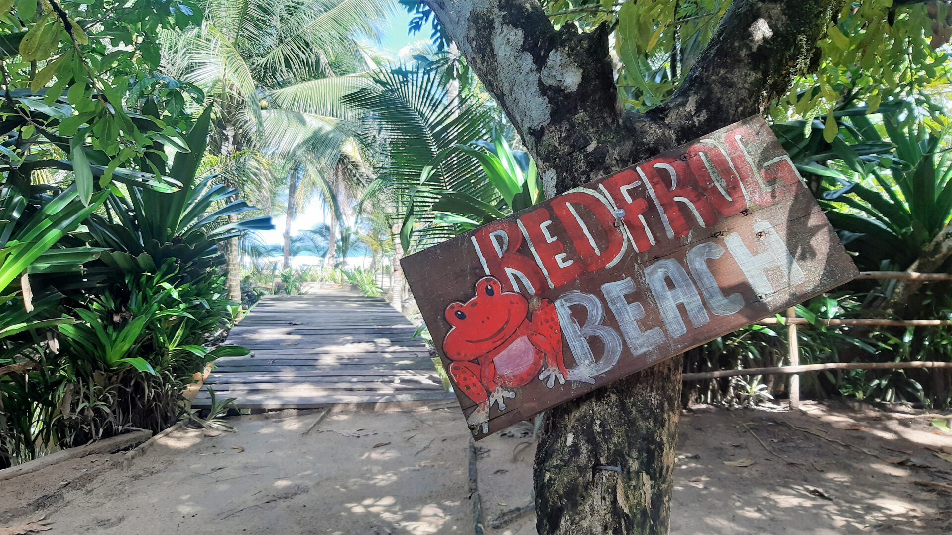 Read more about the article Karibik-Feeling am Red Frog Beach