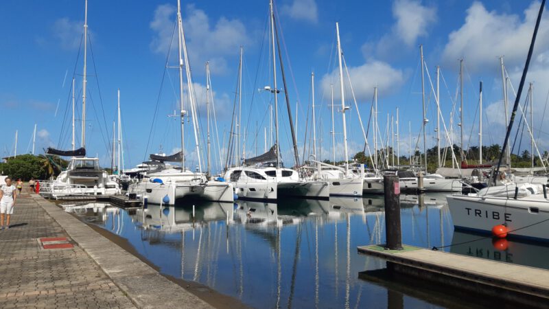 Read more about the article Auf zur Shelter Bay Marina