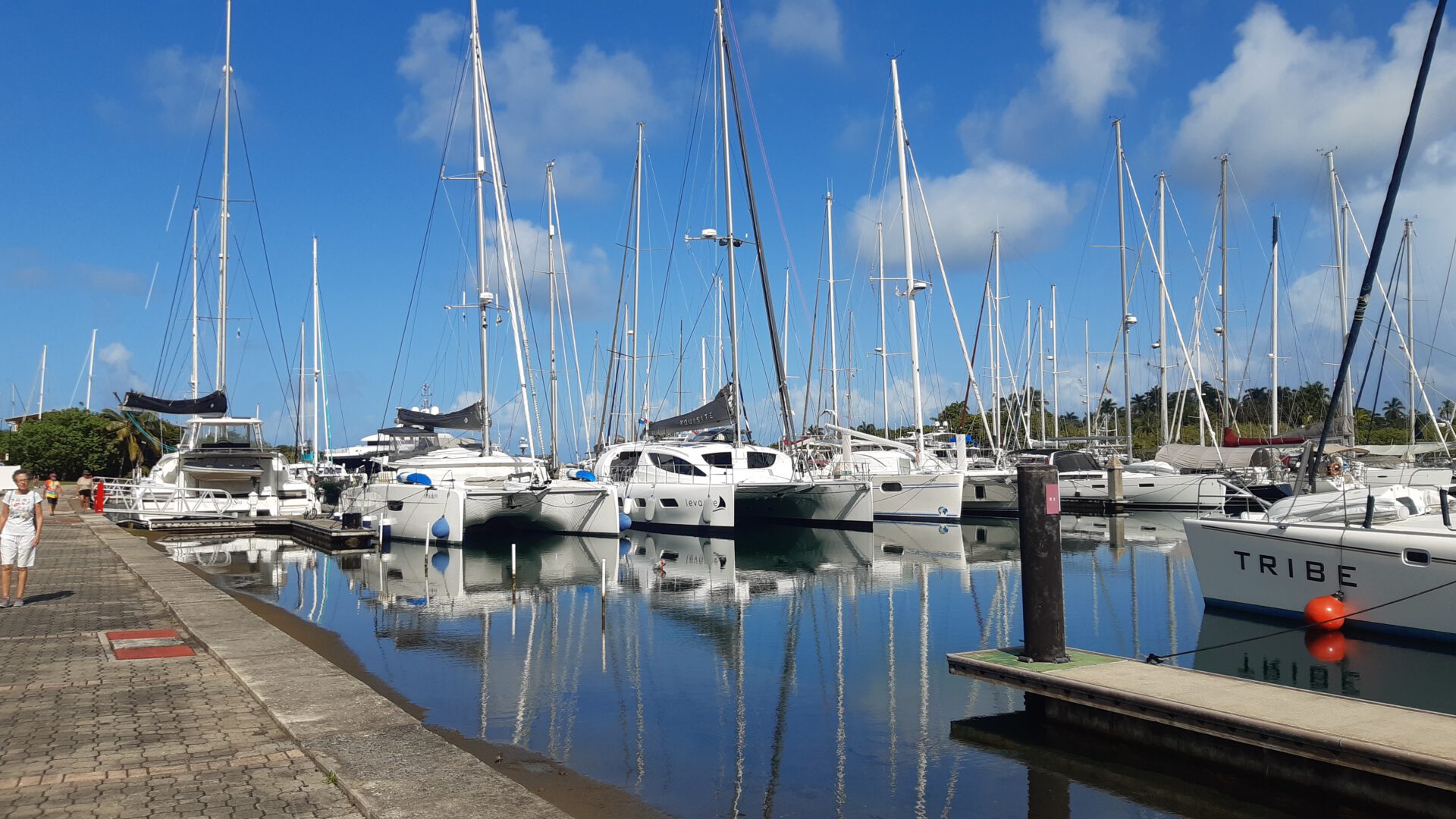 You are currently viewing Auf zur Shelter Bay Marina